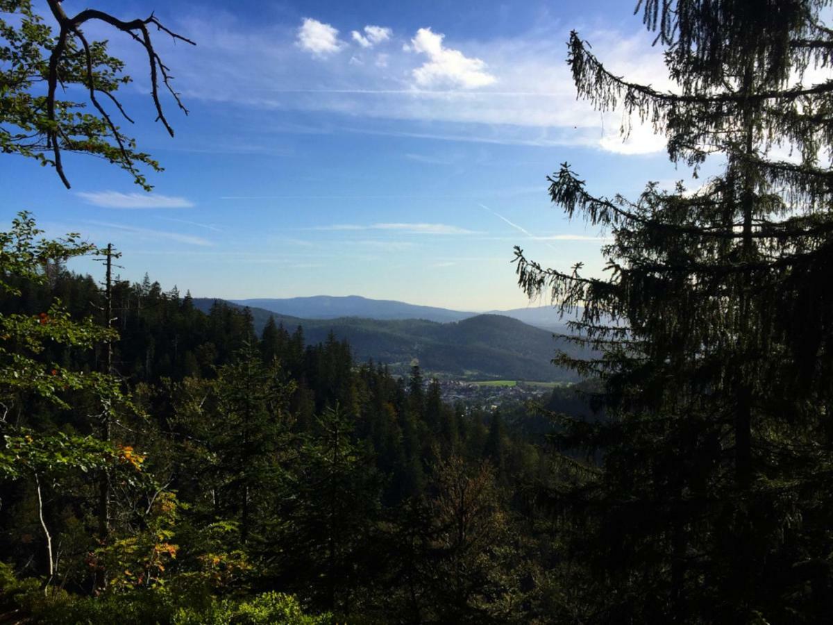 Ferienwohnungen Haus Elisabeth Bodenmais Buitenkant foto